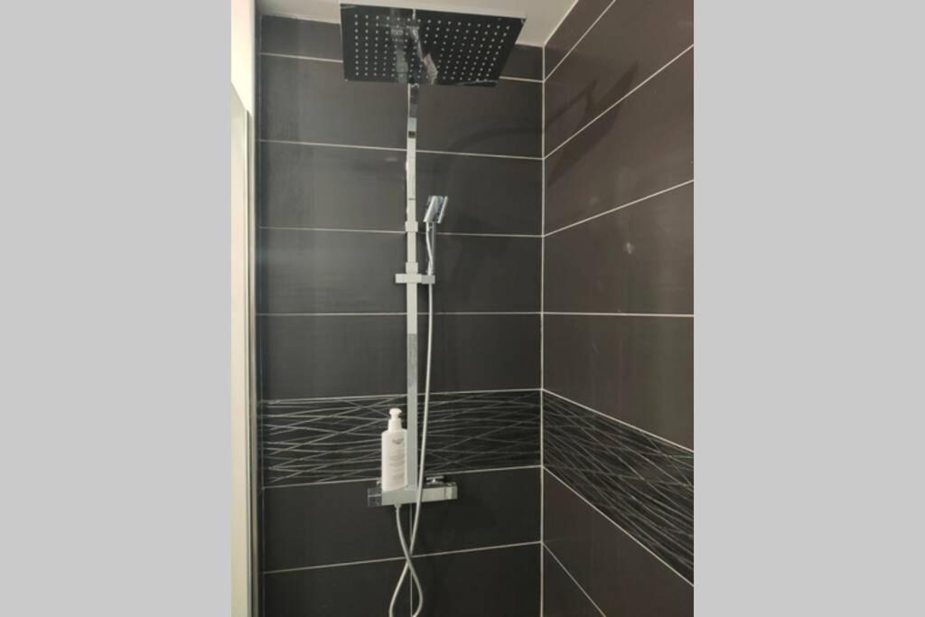 Logement Entier+ Jardin Prive Et Parking 2Places 鲁昂 外观 照片